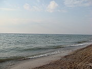 Western Michigan [2009] 577